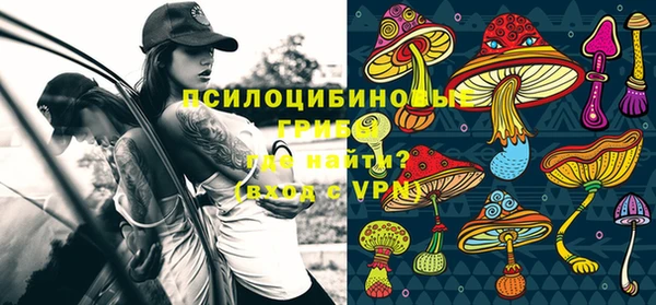 спайс Аркадак